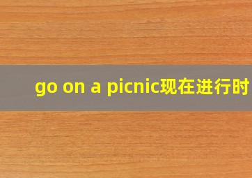 go on a picnic现在进行时